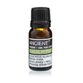 Eucalyptus Essential Oil 10ml